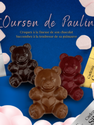 l'ourson de Pauline guimauve enrobée de chocolat
